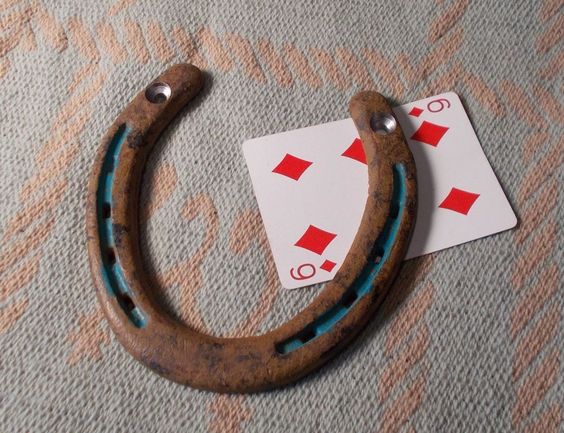 В доме физика висела такая подкова