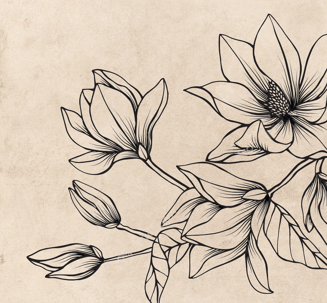 Рисунок с цветком магнолии