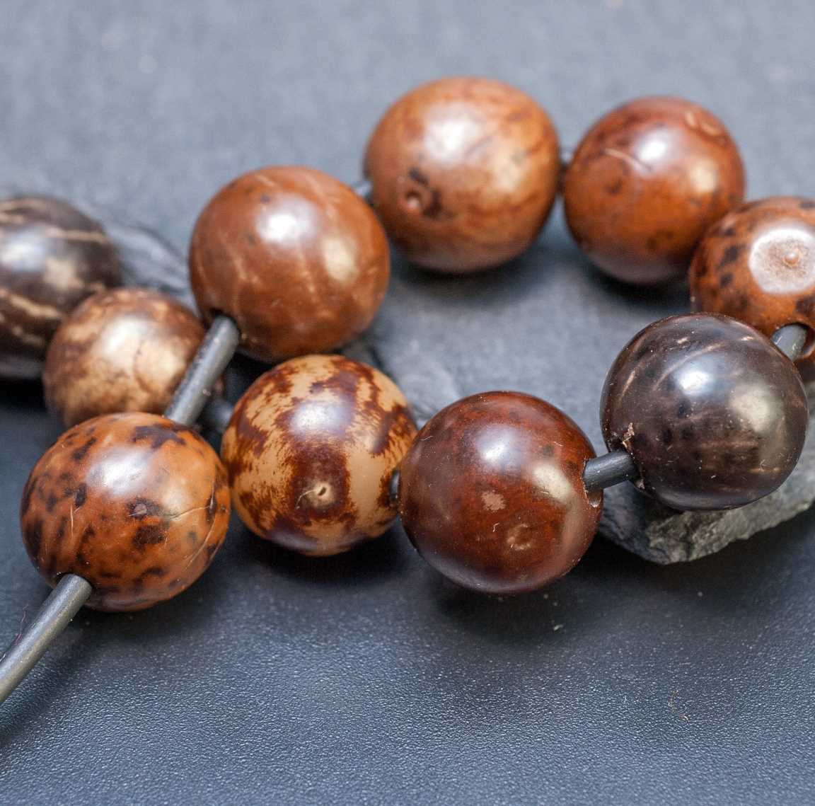 Бусины из семян пальмы Талипот, цвет от темно до светло коричневого 12х14мм, отв 2-3мм.