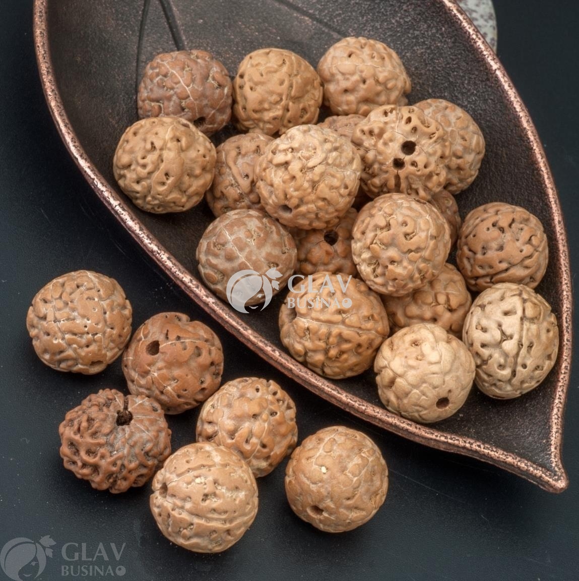 ОПТ (100 бусин) Бусины рудракша, обработанные, слегка обточенные, 5 ликов, диам. 14 мм, отв. 1,5 мм, цвет миндальный, без покрытия.