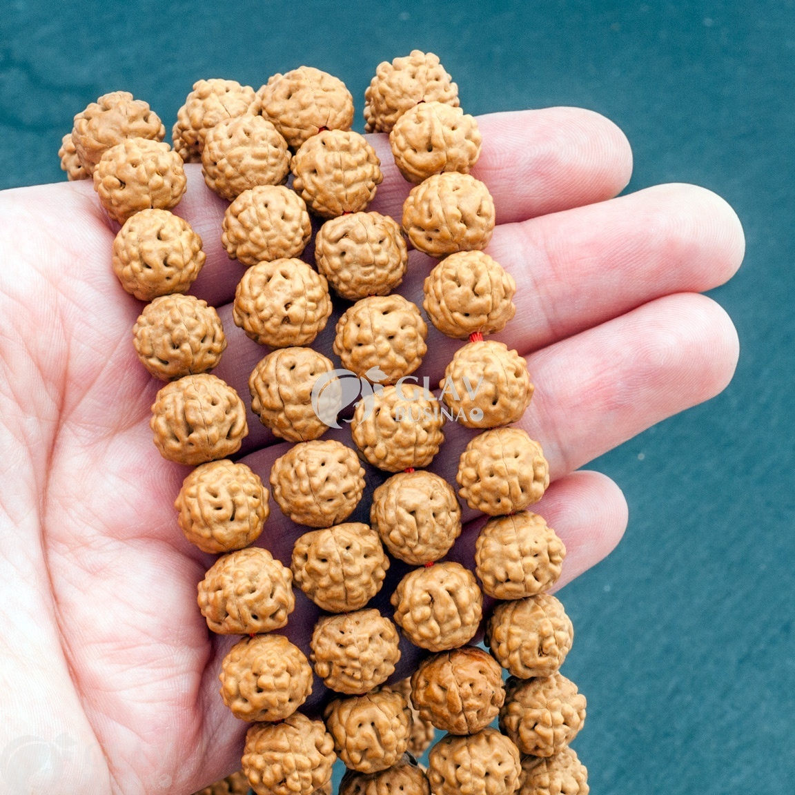 ОПТ (100 бусин) Бусины из рудракши, 10-12мм, отв1.8мм, светло-коричневые, 5 ликов.