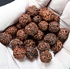 Плоды дерева Шивы (Elaeocarpus) - рудракша, р-р 10-12мм, отв-е 1.6мм.