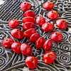 Бусины из семян кораллового дерева.