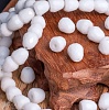 Бусина-пуля из непрозрачного стекла, граненая, цвет лепесток ромашки (белый), р-р 8х7,5мм, отв. 1,2мм.